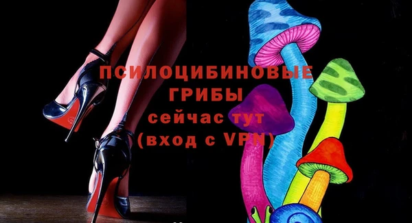 МДПВ Богородицк