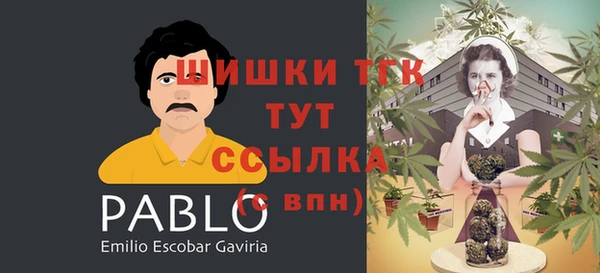 МДПВ Богородицк