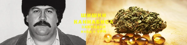 PSILOCYBIN Богданович