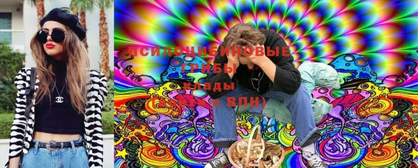 МДПВ Богородицк