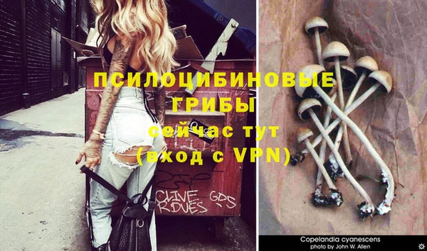 метамфетамин Богородск