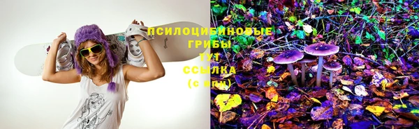 PSILOCYBIN Богданович