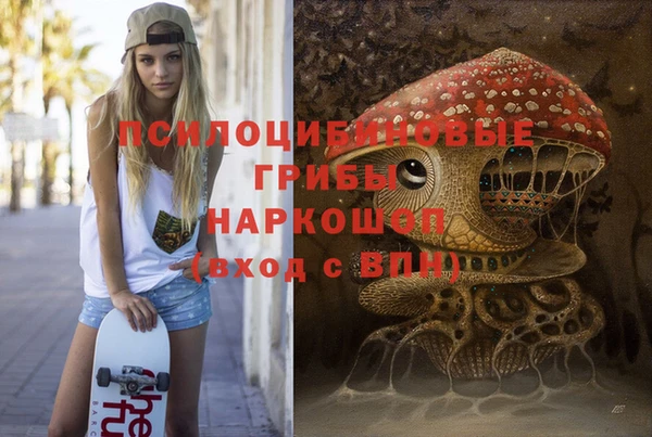 PSILOCYBIN Богданович