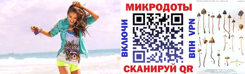 Галлюциногенные грибы Psilocybine cubensis  наркотики  Кировград 